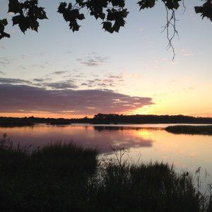 Meet your Posher, Eileen
